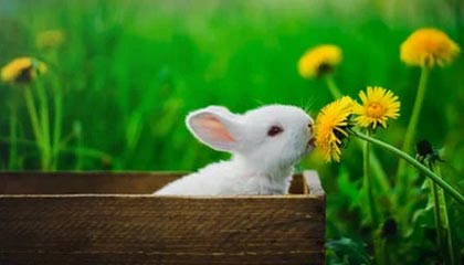 秀人网盘点:丑闻5条亲测有效秘诀,大V上榜理由异常令人窒息