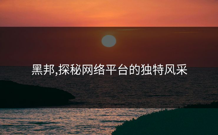 黑邦,探秘网络平台的独特风采