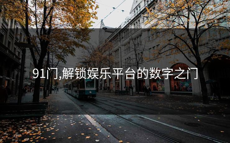 91门,解锁娱乐平台的数字之门 91门,解锁娱乐平台的数字之门