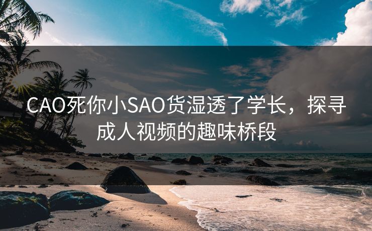 CAO死你小SAO货湿透了学长，探寻成人视频的趣味桥段