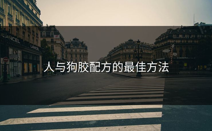 人与狗胶配方的最佳方法