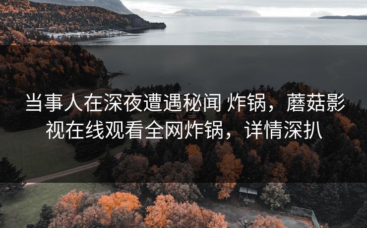 当事人在深夜遭遇秘闻 炸锅,蘑菇影视在线观看全网炸锅,详情深扒 当事人在深夜遭遇秘闻 炸锅,蘑菇影视在线观看全网炸锅,详情深扒