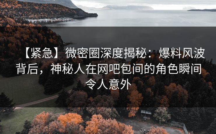 【紧急】微密圈深度揭秘:爆料风波背后,神秘人在网吧包间的角色瞬间令人意外 【紧急】微密圈深度揭秘:爆料风波背后,神秘人在网吧包间的角色瞬间令人意外